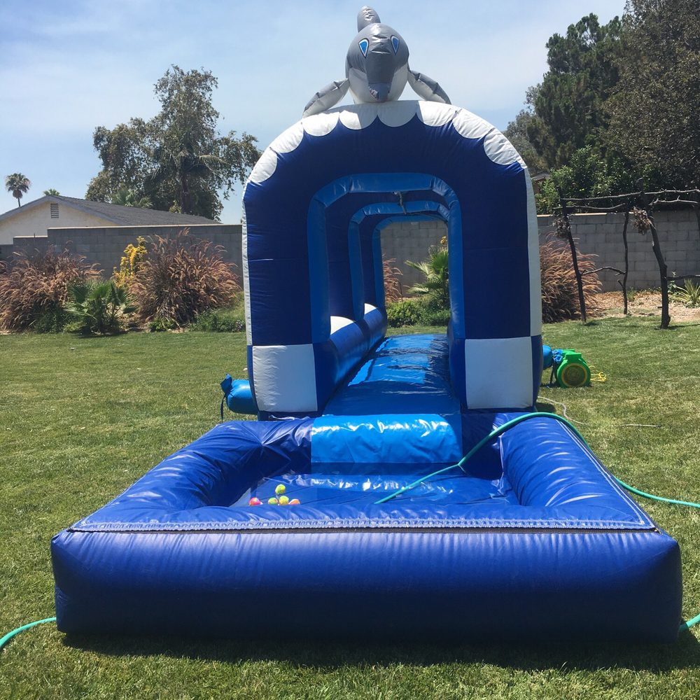 Easy Party Rentals - Dolphin slip n slide! It was amazing and a great time for all ages! - Party Equipment Rentals Near Me Easy Party Rentals - Dolphin slip n slide! It was amazing and a great time for all ages! - Party Equipment Rentals Near Me