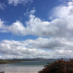 The Harbour Bar - View from bar