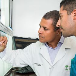 Raymond B. Raven III, MD - Dr. Raymond B. Raven, III, M.D., MBA (Hand, Wrist & Elbow Specialist)