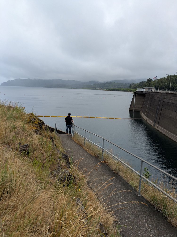 Mossyrock Dam Logo