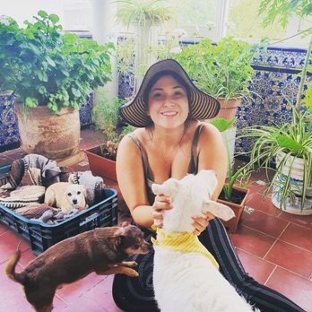 Pawsitively Austin - Doggo friends! - Dog Walkers Near Me