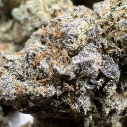 Brotherly Bud