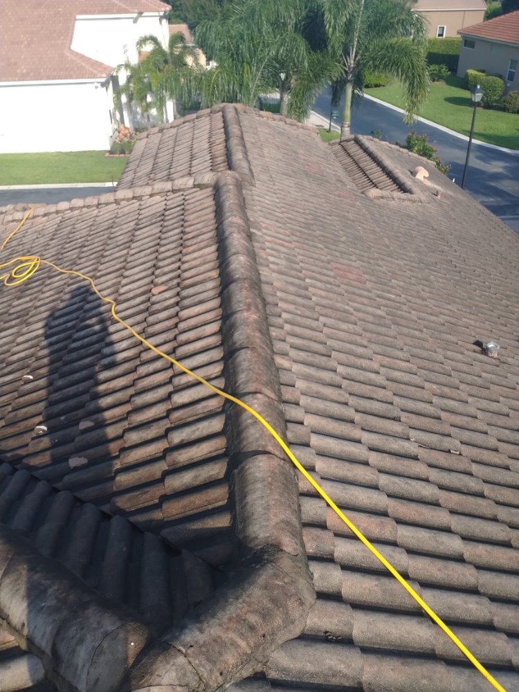 Slide of Elite Roof Cleaning