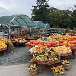 Heinz Brothers Greenhouse Garden Center