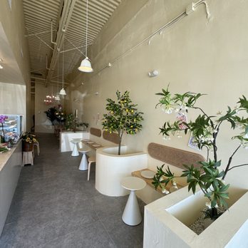 Tea Lab - Decor - Bubble Tea Near Me - Plantation, Florida Tea Lab - Decor - Bubble Tea Near Me - Plantation, Florida