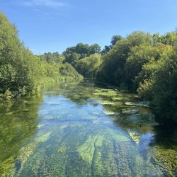 The Bush Inn - River