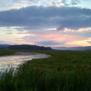 Bashakill Vineyards - The basha kill - Wineries Near Me - Wurtsboro, New York