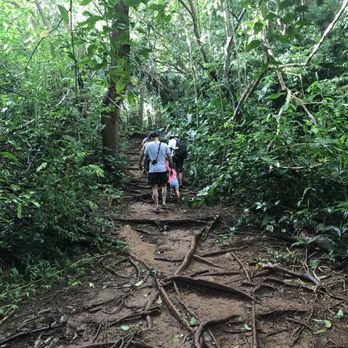 Likeke Falls - Hiking Near Me - Honolulu, Hawaii