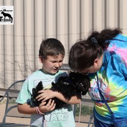 K9 Paws Behavior Dog Training - Puppy Love