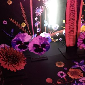 Flutter Experience on Yelp