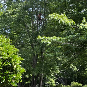 Metcalf Tree Service - a red fire hydrant - Snow Removal Near Me - Troy, Virginia