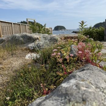 Five Islands Lobster - Scenery - Seafood Near Me - Georgetown, Maine