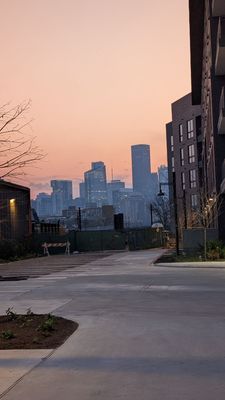 City Cellars by null