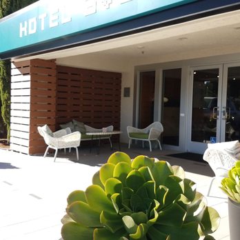 Hotel Avante - Huge succulent plants in front of the entrance - Hotels Near Me - Mountain View, California Hotel Avante - Huge succulent plants in front of the entrance - Hotels Near Me - Mountain View, California