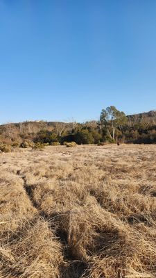 Los Penasquitos Canyon County Preserve by null