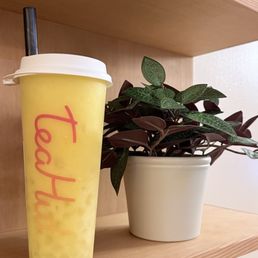 mango dreamer...