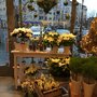Photo of Tant Gröns Blomster