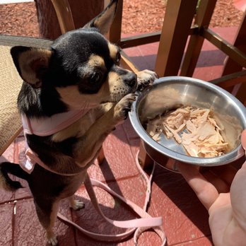 Joseph's Restaurant - Dog friendly. - American Near Me - Peckville, Pennsylvania