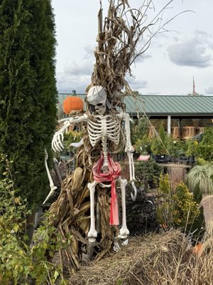 Homestead Gardens by null