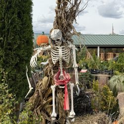 Homestead Gardens - Halloween Decor!