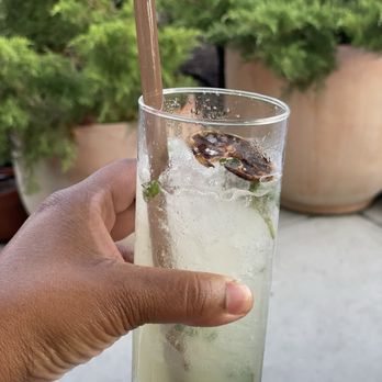 Conejo - Pricey Drink (mostly ice) - Mexican Near Me - Richmond, Virginia Conejo - Pricey Drink (mostly ice) - Mexican Near Me - Richmond, Virginia