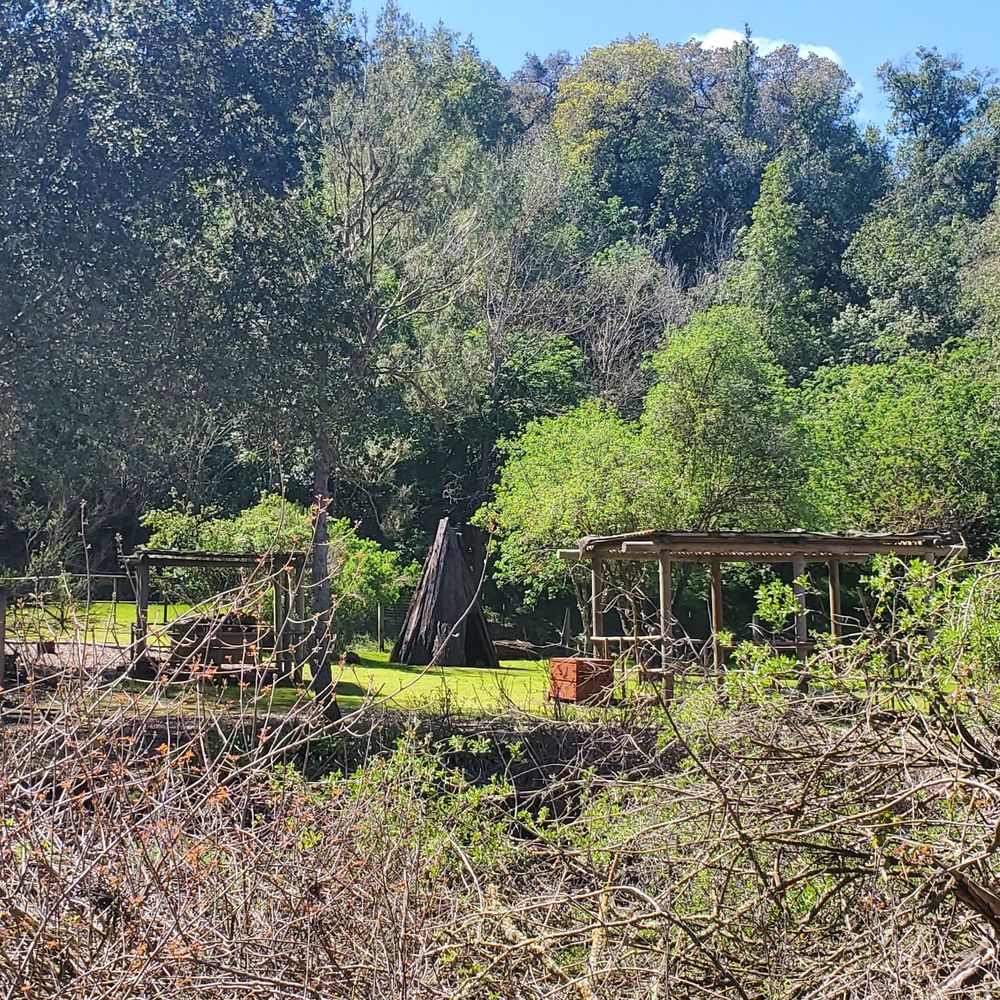 Deer Hollow Farm - Walking to farm - Kids Activities Near Me - Cupertino, California