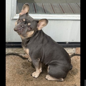 Sunshine Veterinary Care - This is how she looks now - Veterinarians Near Me - Diamond Bar, California