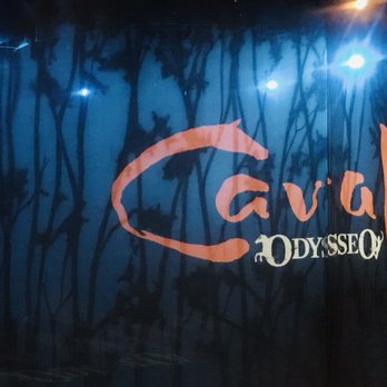 Cavalia - Performing Arts Near Me - Scottsdale, Arizona