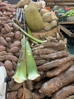 K C’S PRODUCE - Updated July 2026 - 17 Photos & 14 Reviews - 1149 SE ...