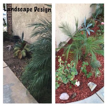 Proline Landscape - two different views of a garden - Tree Services Near Me - Riverside, California Proline Landscape - two different views of a garden - Tree Services Near Me - Riverside, California