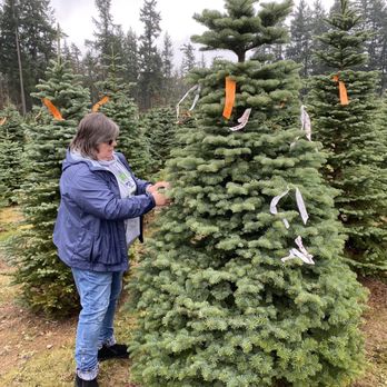 Double Four Tree Farm - They provide ribbon to mark your tree - Nurseries & Gardening Near Me - Tacoma, Washington