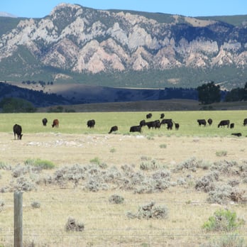 Klondike Ranch - Horseback Riding Near Me - Buffalo, Wyoming