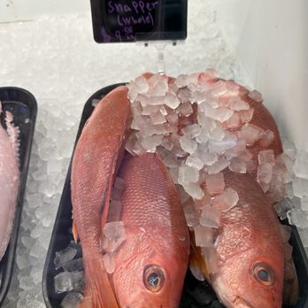 Keys Fresh Seafood Market - Seafood Markets Near Me - Key West, Florida Keys Fresh Seafood Market - Seafood Markets Near Me - Key West, Florida