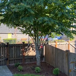 Lineage Tree Care LLC