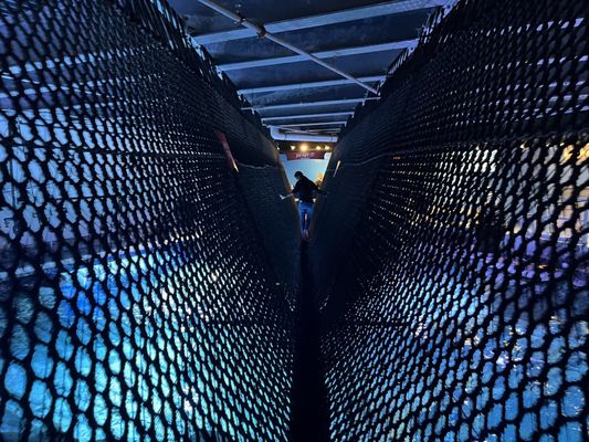 Newport Aquarium by null