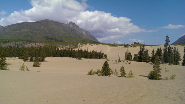 Carcross Desert by null