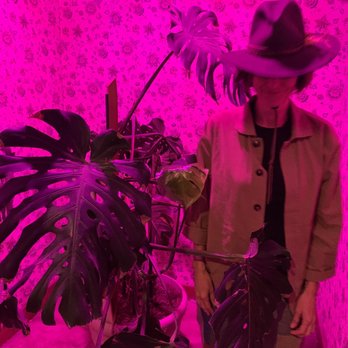 Viet's Pho - Weird pink wallpapered nook and plant for a perfect experience. - Vietnamese Near Me - Albuquerque, New Mexico Viet's Pho - Weird pink wallpapered nook and plant for a perfect experience. - Vietnamese Near Me - Albuquerque, New Mexico