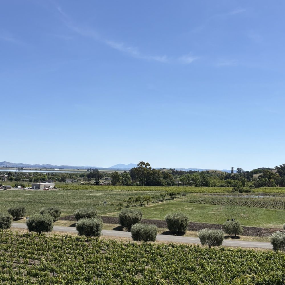 Vista views