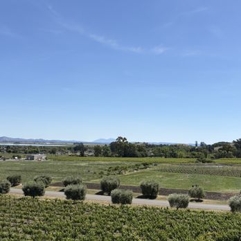 Gloria Ferrer Winery - Vista views - Wineries Near Me - Sonoma, California Gloria Ferrer Winery - Vista views - Wineries Near Me - Sonoma, California