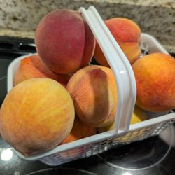 Isom's Orchard - Peaches!