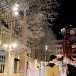 Rockville Outdoor Ice Skating