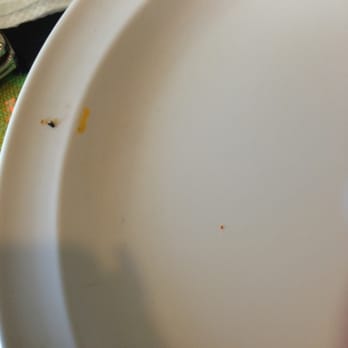 El Zarape - Extra plate was dirty - Mexican Near Me - Cypress, California