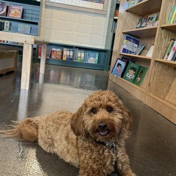The Whispering Shelf - Bookstores Near Me - Indianapolis, Indiana