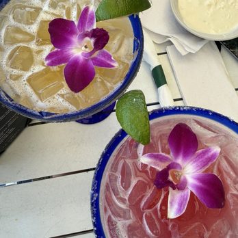 La Terraza NSB - Just peachy margarita and grapefruit hibiscus margarita - Mexican Near Me - New Smyrna Beach, Florida La Terraza NSB - Just peachy margarita and grapefruit hibiscus margarita - Mexican Near Me - New Smyrna Beach, Florida