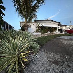 Benitrees Lawn Care Services - Sod