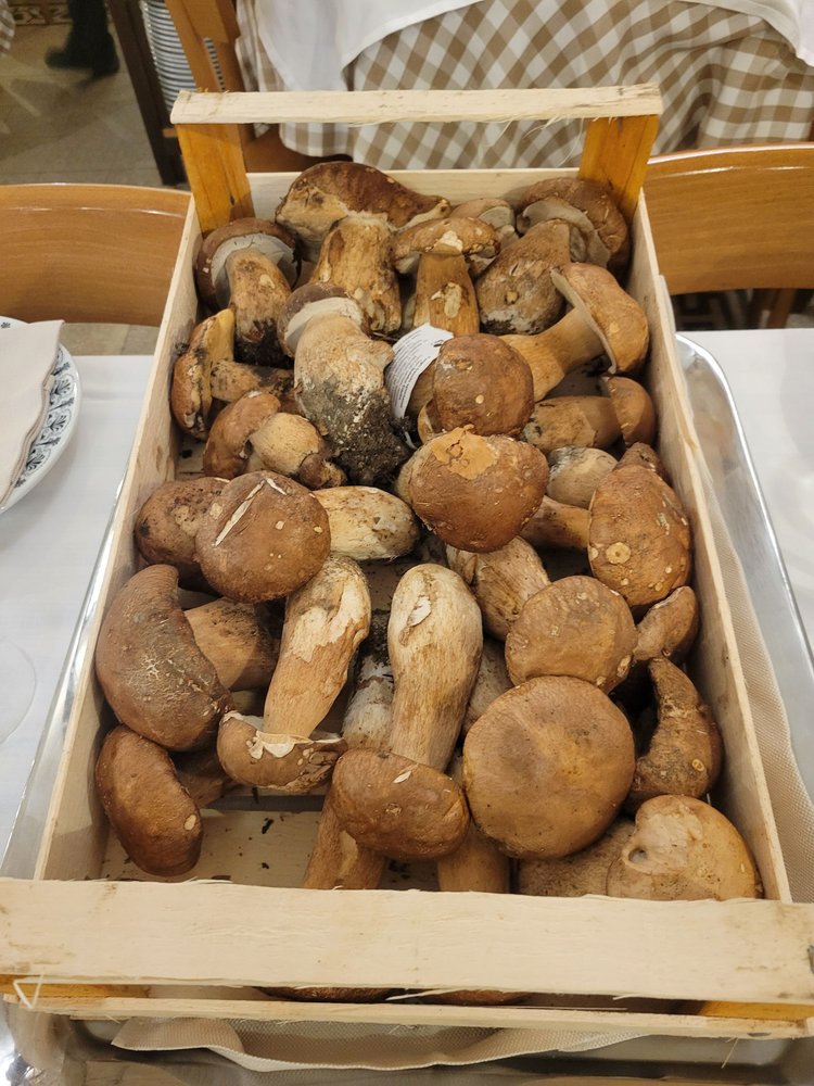 PICCOLO ABRUZZO Updated August 2024 85 Photos & 42 Reviews Via Sicilia 237, Roma, Italy