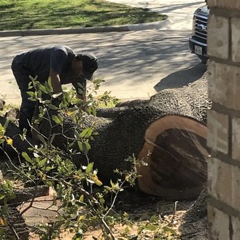 Lucky'sTree Service - Tree Services Near Me Lucky'sTree Service - Tree Services Near Me