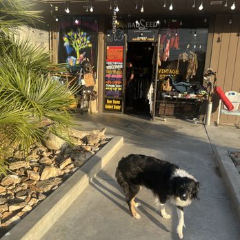 Badseed Vintage - Used, Vintage & Consignment Near Me - Yucca Valley, California Badseed Vintage - Used, Vintage & Consignment Near Me - Yucca Valley, California