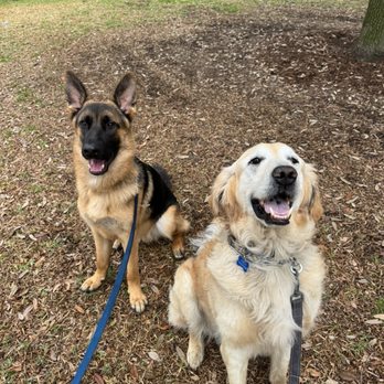 Heaven Sent K-9 Dog Training - I can't believe that one used to want to kill the other! Thank you Sogand! - Pet Training Near Me Heaven Sent K-9 Dog Training - I can't believe that one used to want to kill the other! Thank you Sogand! - Pet Training Near Me