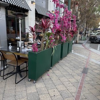 Roman Wolves - Outside - Italian Near Me - San Diego, California Roman Wolves - Outside - Italian Near Me - San Diego, California